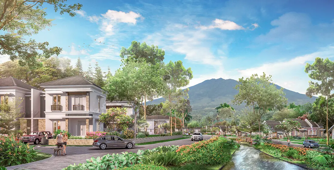 Bismarckia The Art of Living Beautifully